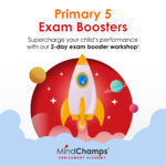 Primary 5 Exam Booster - 2-Day Primary 5 Exam Booster Workshop (All Subjects, exclude Chinese) : $188 with GST